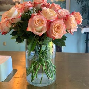 Meet your Posher, Susy